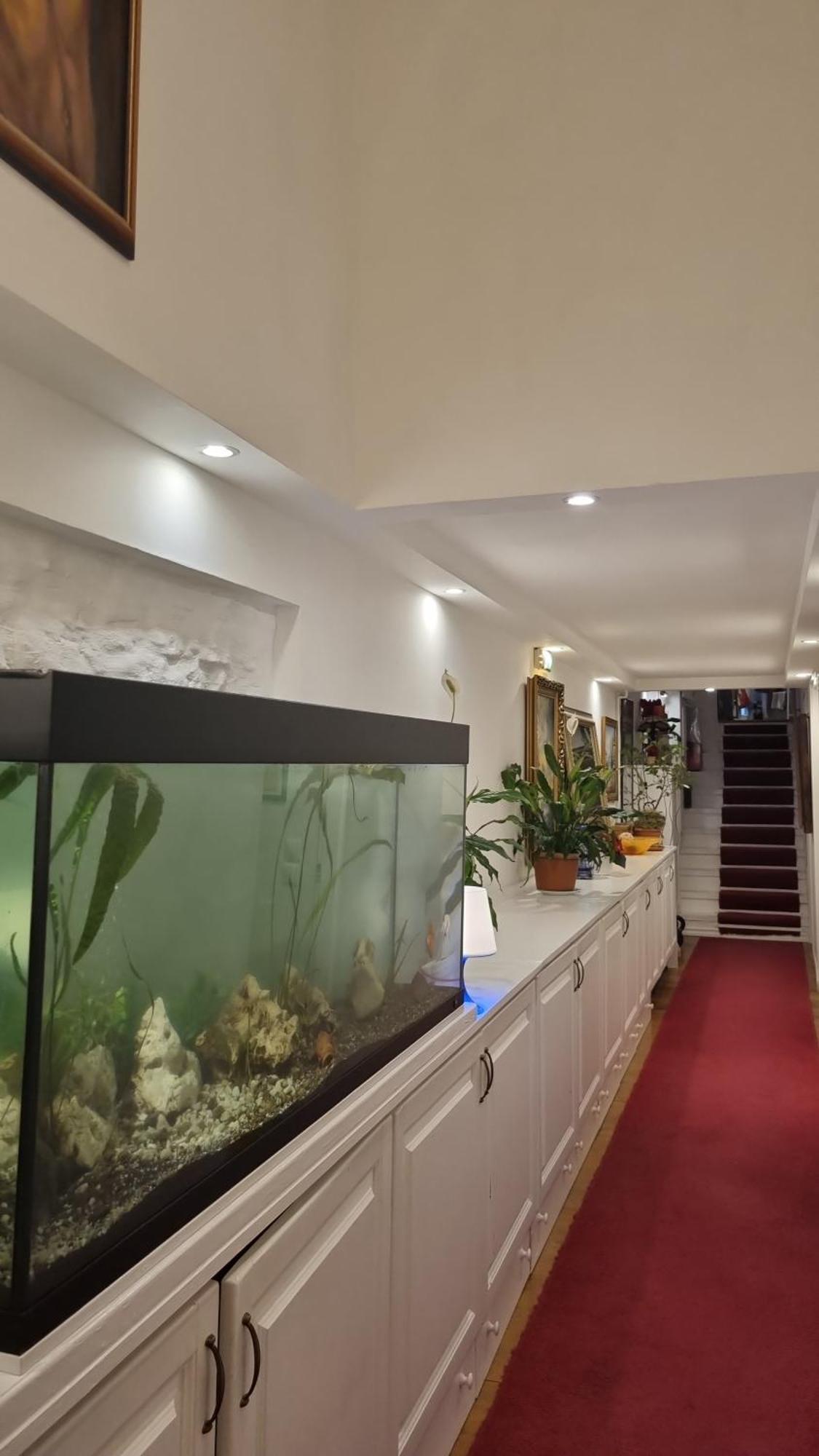 Connection Guest house